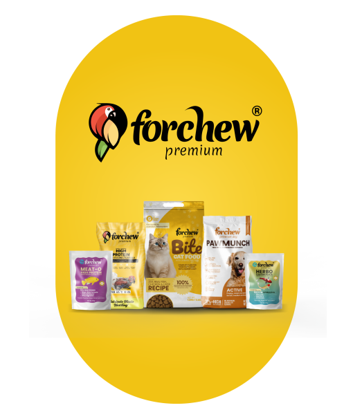 forchew home 2-01